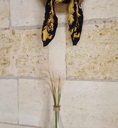 La Maisonnette En Medoc 度假居 *